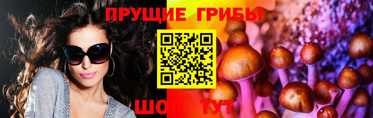 Галлюциногенные грибы Psilocybe  Вход с VPN  Карталы 